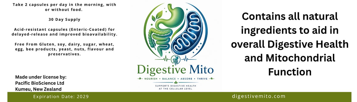 Digestive MITO