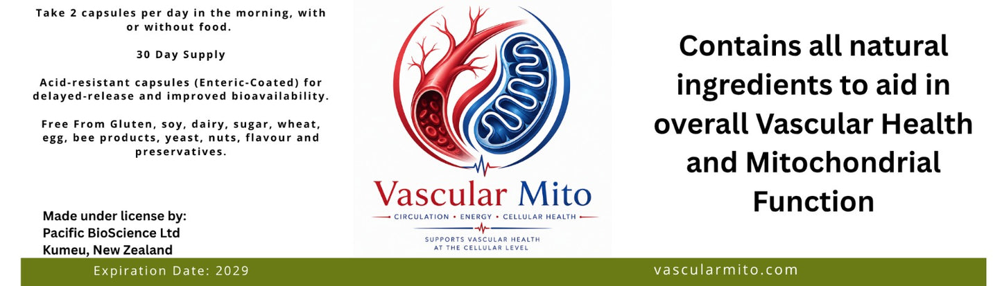 Vascular MITO