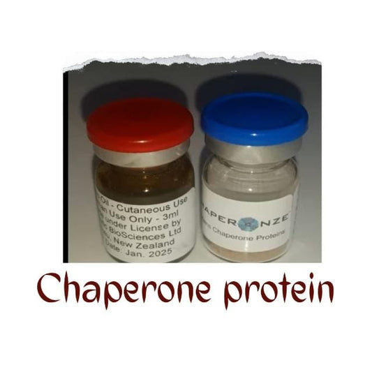 Chaperonze Protein