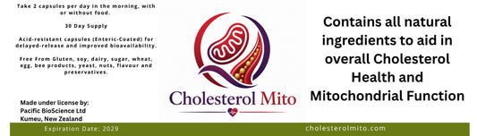 cholesterol MITO