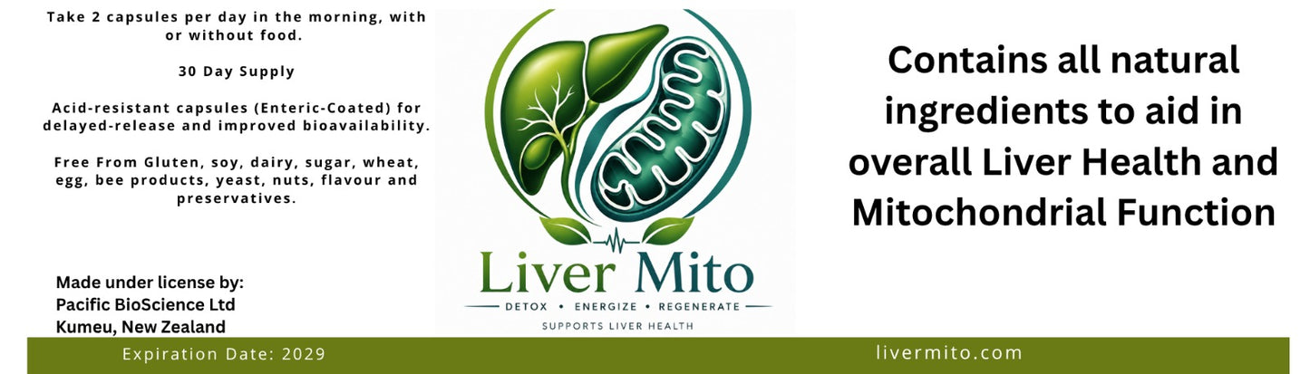 Liver MITO