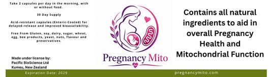 Pregnancy MITO