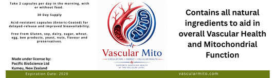Vascular MITO